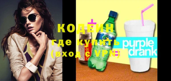 ешки Корсаков
