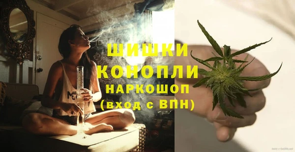 ешки Корсаков