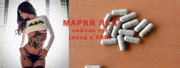 ешки Корсаков