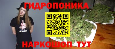 apvp Коммунар