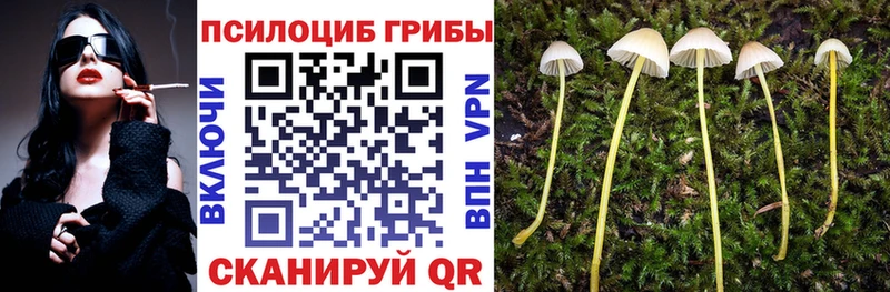гидра онион Кудымкар Псилоцибиновые грибы ЛСД