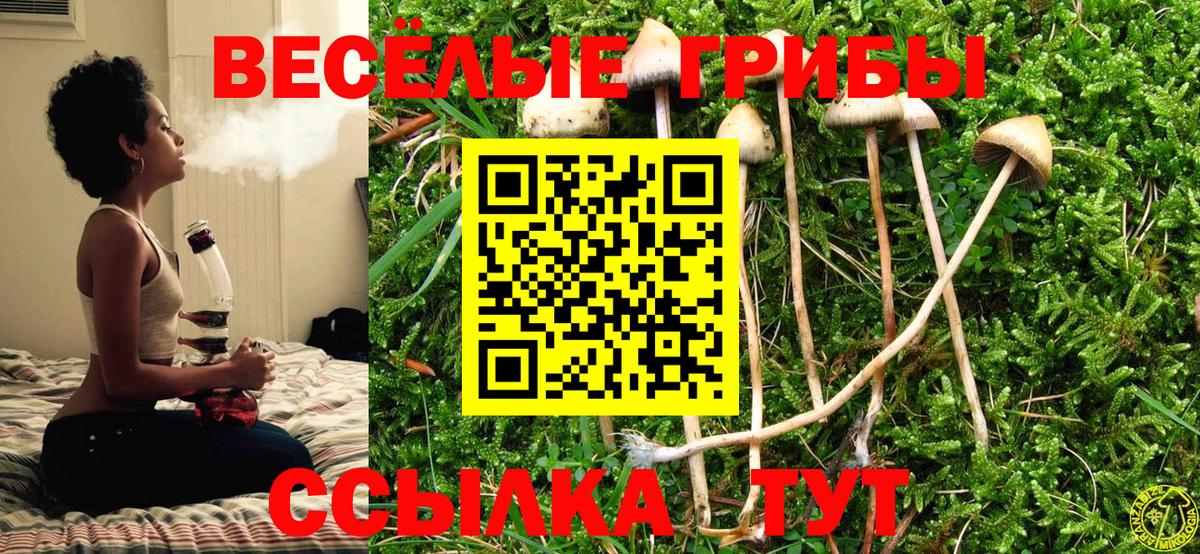 Галлюциногенные грибы ЛСД Кудымкар