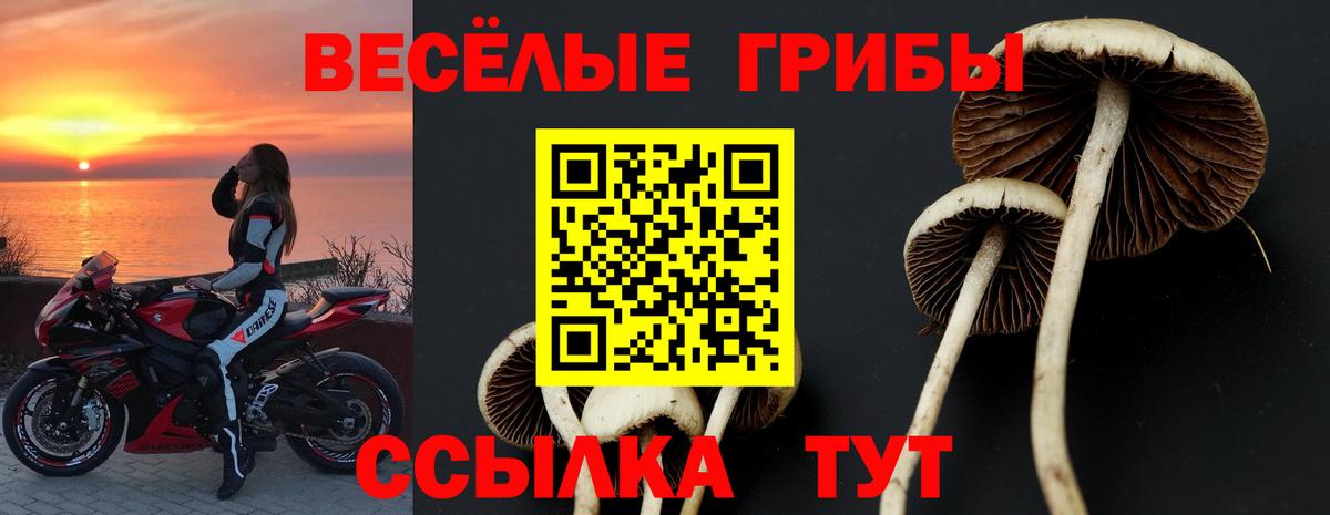 Кудымкар  Псилоцибиновые грибы MAGIC MUSHROOMS  Вход с VPN 